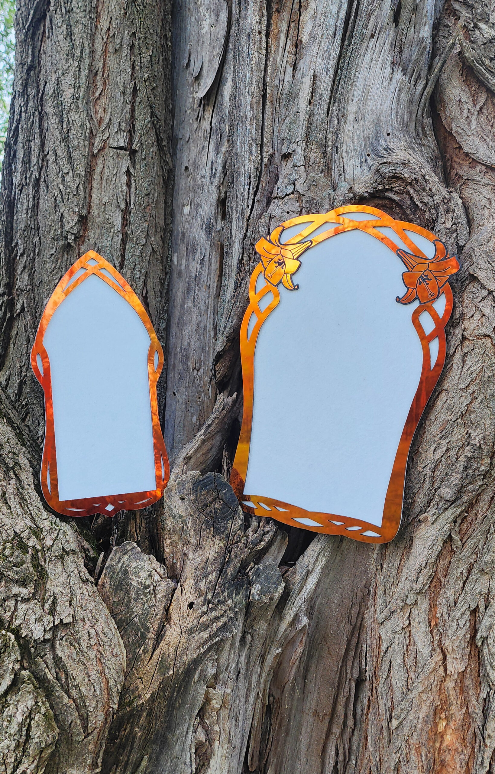 An orange-green shifting, pointed, arch-shaped frame with a white center is placed against a rough, textured tree trunk with visible bark and knots.